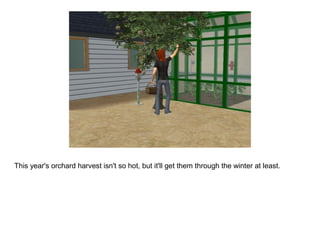 This year's orchard harvest isn't so hot, but it'll get them through the winter at least.
 