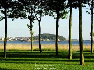 Eu queroche tanto,   e ainda non lo sabes...  