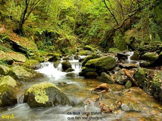os teus ollos tristes   que fan me chorare.  