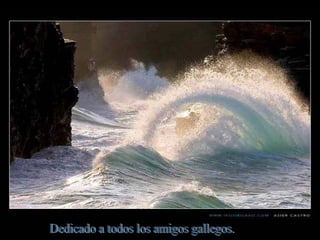Dedicado a todos los amigos gallegos.  