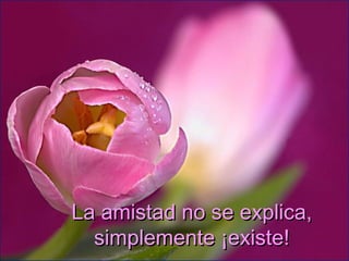 La amistad no se explica,La amistad no se explica,
simplemente ¡existe!simplemente ¡existe!
 