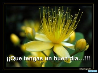 ¡¡Que tengas un buen día…!!!¡¡Que tengas un buen día…!!!
 