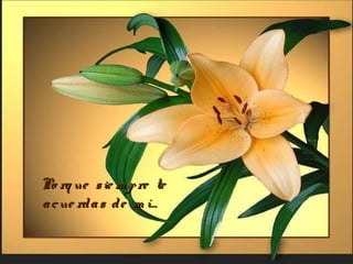 Po rq ue sie m pre tePo rq ue sie m pre te
acue rdas de m í…acue rdas de m í…
 