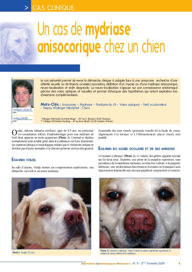 Pupilles du chien: mydriase, myosis et anisocorie Un-cas-de-mydriase-anisocorique-chez-un-chien-cazalot-iovs-2009-1-638