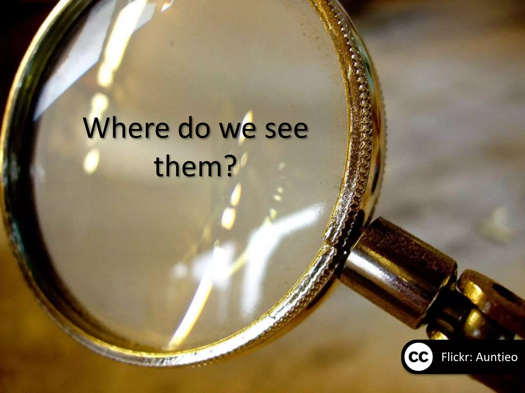 Where do we see
    them?




                  Flickr: Auntieo
 