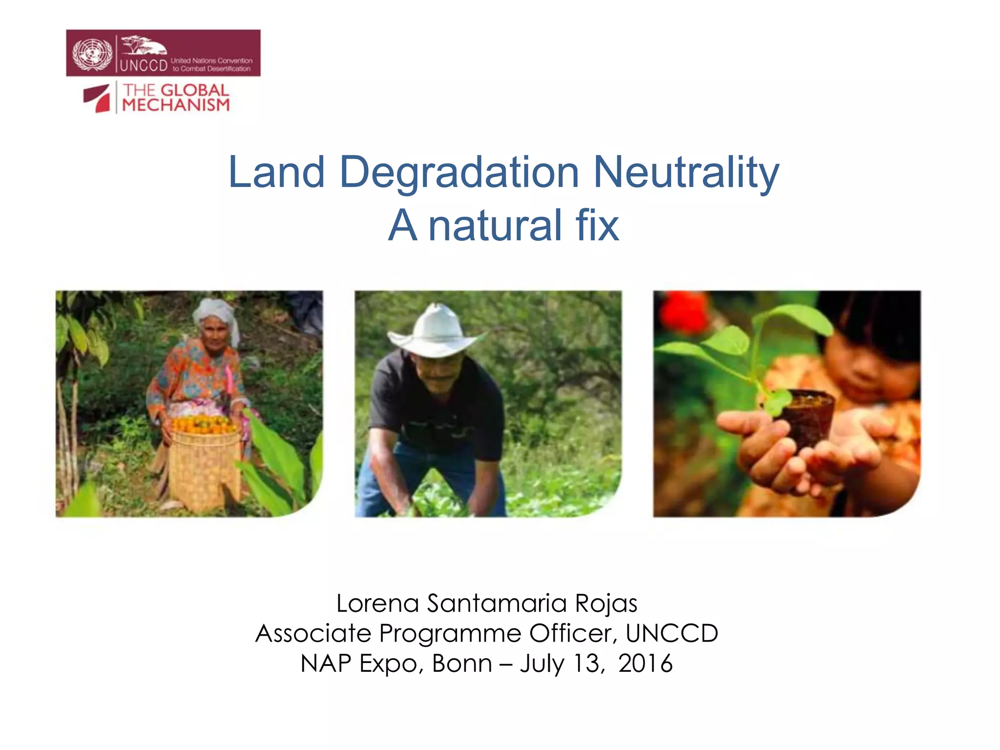 Land Degradation Neutrality and adaptation to climate change | PDF