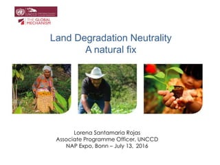 Land Degradation Neutrality
A natural fix
Lorena Santamaria Rojas
Associate Programme Officer, UNCCD
NAP Expo, Bonn – July 13, 2016
 