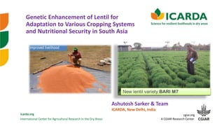 International Center for Agricultural Research in the Dry Areas
icarda.org cgiar.org
A CGIAR Research Center
Genetic Enhancement of Lentil for
Adaptation to Various Cropping Systems
and Nutritional Security in South Asia
Ashutosh Sarker & Team
ICARDA, New Delhi, India
 