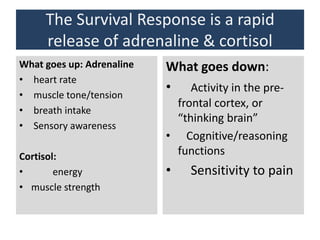 The Survival Response is a rapid
release of adrenaline & cortisol
What goes up: Adrenaline
• heart rate
• muscle tone/tension
• breath intake
• Sensory awareness
Cortisol:
• energy
• muscle strength
What goes down:
• Activity in the pre-
frontal cortex, or
“thinking brain”
• Cognitive/reasoning
functions
• Sensitivity to pain
 