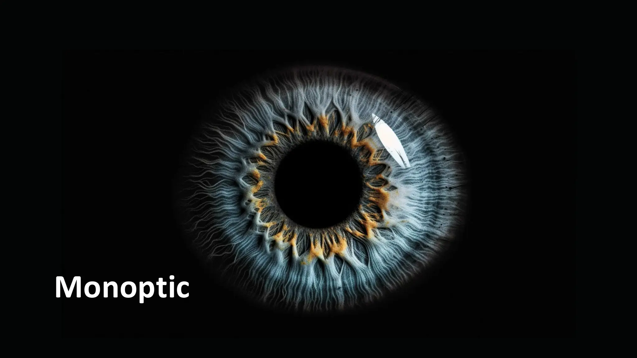 Monoptic
 