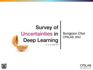 Survey of
Uncertainties in
Deep Learning
in a nutshell
Sungjoon Choi

CPSLAB, SNU
 