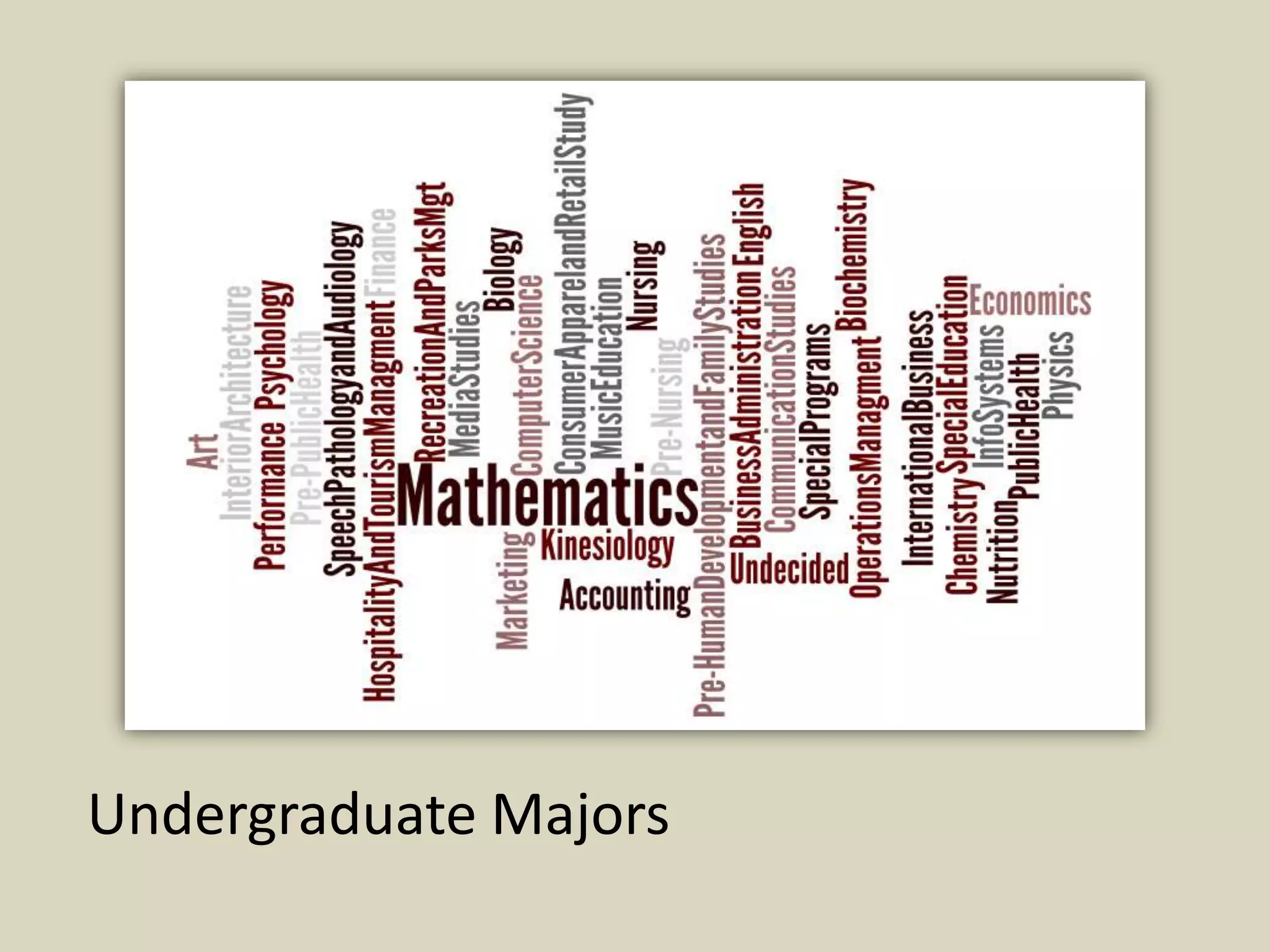 Undergraduate Majors
 