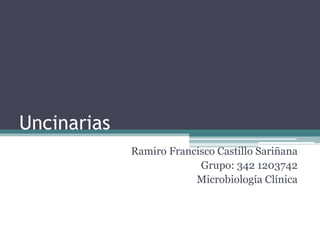 Uncinarias
Ramiro Francisco Castillo Sariñana
Grupo: 342 1203742
Microbiología Clínica
 