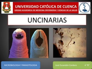 UNCINARIAS
UNIVERSIDAD CATÓLICA DE CUENCA
UNIDAD ACADEMICA DE MEDICINA ENFERMERIA Y CIENCIAS DE LA SALUD
MICROBIOLOGIA Y PARASITOLOGIA José Escandón Cordero 4 “B”
 