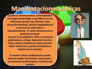 Cuando la anemia avanza, la hemoglobina
en sangre puede llegar a 1g/100ml y en las
     infecciones graves hay, además, mala
absorción intestinal, anemia megaloblastica
           a carencia de acido folico e
 hipoalbuminuria.  como consecuencia el
               paciente presenta:
 Cuando la hemoglobina <50%, se presenta
 palpitaciones, vertigo, depresión mental y
  fisica, edema maleolar,en mujeres puede
   haber amenorrea y partos prematuros e
             impotencia en varones.

 El examen clínico cardiovascular puede
detectar soplos funcionales, taquicardia y
en ocasiones cardiomegalia e insuficiencia
                 cardíaca
 