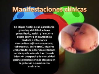 En etapas finales de un parasitismo
     grave hay debilidad, edema
  generalizado, ascitis, y la muerte
   puede ocurrir por insuficiencia
        cardíaca o infecciones
  concomitantes(bronconeumonía,
 tuberculosis, entre otras). Mujeres
embarazadas se observan afecciones
 renales y albuminuria. Las cifras de
infección puerperal y de mortalidad
perinatal suelen ser más elevados en
     la gestación de madres con
              uncinarias.
 