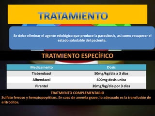 .

       Se debe eliminar el agente etiológico que produce la parasitosis, asi como recuperar el
                                   estado saludable del paciente.



                        TRATMIENTO ESPECÍFICO
                 Medicamento                                     Dosis
                  Tiabendazol                            50mg/kg/dia x 3 dias
                   Albendazol                              400mg dosis unica
                    Pirantel                            20mg/kg/dia por 3 dias
                             TRATMIENTO COMPLEMENTARIO
Sulfato ferroso y hematopoyéticos. En caso de anemia grave, lo adecuado es la transfusión de
eritrocitos.
 