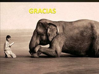 GRACIAS
 