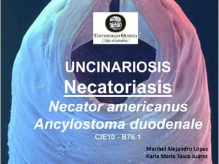UNCINARIOSIS
Necatoriasis
Necator americanus
Ancylostoma duodenale
CIE10 - B76.1
Maribel Alejandro López
Karla María Tosca Juárez
 