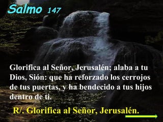 R/. Glorifica al Señor, Jerusalén.
Salmo 147
Glorifica al Señor, Jerusalén; alaba a tu
Dios, Sión: que ha reforzado los cerrojos
de tus puertas, y ha bendecido a tus hijos
dentro de ti.
 