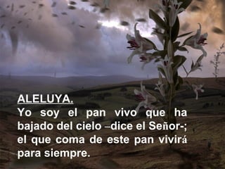 ALELUYA.
Yo soy el pan vivo que ha
bajado del cielo –dice el Señor-;
el que coma de este pan vivirá
para siempre.
 