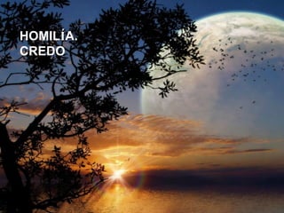 La roca
HOMILÍA.
CREDO.
 