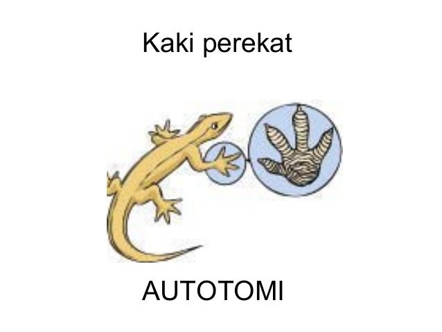 (Un) ciri khusus