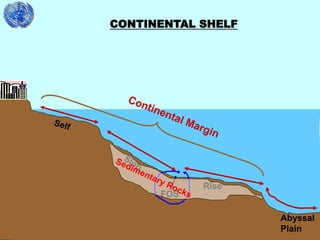 28
Rise
Abyssal
Plain
FOS
CONTINENTAL SHELF
 