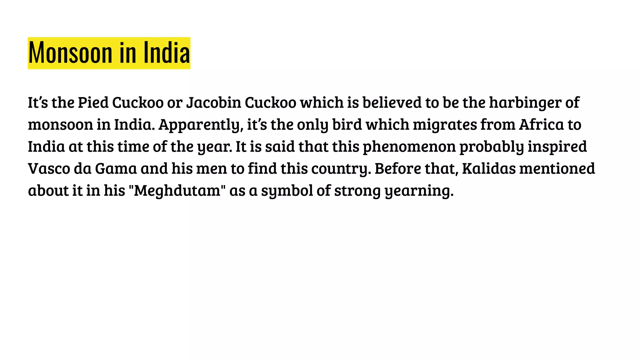 Monsoon in India
It’s the Pied Cuckoo or Jacobin Cuckoo which is believed to be the harbinger of
monsoon in India. Apparently, it’s the only bird which migrates from Africa to
India at this time of the year. It is said that this phenomenon probably inspired
Vasco da Gama and his men to find this country. Before that, Kalidas mentioned
about it in his "Meghdutam" as a symbol of strong yearning.
 