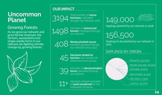 Saplings to be planted by our network in
2017.
156,500
Saplings planted by our network in 2016.
149,000
Lachua, 75,000
Polochic, 50,000
Monte Grande, 16,000
Oko Caribe, 5,000
Alto Beni, 2,500
Chimelb, 8,000
SAPLINGS BY ORIGIN
Total number of cacao
hectares cultivated
through our network 20163194
OUR IMPACT
Newly planted cacao
hectares planted through
our network since 2014
408
Hectares rented to
farmers who would not
otherwise have access
45
Hectares of beef and palm
oil land reclaimed for the
cultivation of cacao
11+
Hectares of preserved
forests managed through
our network1498
Hectares of demonstration
farms operated through
our network
39
Uncommon
Planet
As we grow our network and
grow farmer revenues, the
farmers, associations and
single-estate farms in our
network are fighting climate
change by growing forests.
Growing Forests
14
 