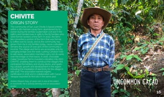 CHIVITE
ORIGIN STORY
The community of San Juan Chivite is based entirely
within a 180-hectare cacao farm, abandoned by its
owner during the terrible Guatemalan civil war in the
1980’s and handed over in 1985 to the 65 families who
were former workers of the farm. In 2002, the fami-
lies converted a portion of the farm that was formal-
ly coffee over to cacao, and as the community has
grown from 64 to 125 families today, cacao cultivation
remains the source of over 90% of the community’s
income. The village and farms are accessible only by
swinging bridge over the wide, rushing Cahabón river;
to sell cacao, association members carry 100-lb sacks
over the bridge on their backs. In 2016, chocolate
maker Goodnow Farms invested a donation into ASO-
CHIVITE, enabling them to construct the village’s first
centralized fermentery and drying decks, and spark-
ing catalytic growth and development in the region
including the installation of electricity for the village in
late 2016. The association earned organic
certification in 2016 and in collaboration with Cacao
Verapaz exported its first lots in the same year.
Andres Maquin Asig, 57 years old, is one of the elders
in Asochivite. He is actively farming and an association
leader.
16
 