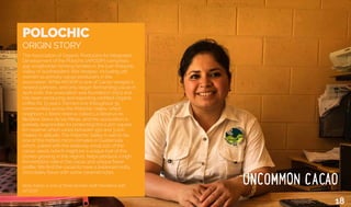 Origin Story
POLOCHIC
ORIGIN STORY
The Association of Organic Producers for Integrated
Development of the Polochic (APODIP) comprises
495 smallholder farming families in the lush Polochic
Valley of southeastern Alta Verapaz, including 126
women as primary cacao producers in the
association. While APODIP is one of Cacao Verapaz’s
newest partners, and only began fermenting cacao in
April 2016, the association was founded in 2003 and
has been producing and exporting certified Organic
coffee for 13 years. Farmers live throughout 35
communities across the Polochic Valley, which
neighbors a forest reserve called La Reserva de
Biosfera Sierra de las Minas, and the association is
partially responsible for protecting this 2,400 square
km reserve which varies between 150 and 3,000
meters in altitude. The Polochic Valley is said to be
one of the hottest micro-climates in Guatemala,
which, paired with the relatively small size of the
cacao seeds (which might be a unique trait of the
clones growing in this region), helps produce a high
fermentation rate in the cacao and unique flavor
profile. We find the cacao to have a balanced nutty,
chocolatey flavor with some caramel notes.
Idaly Artola is one of three female staff members with
APODIP.
18
 