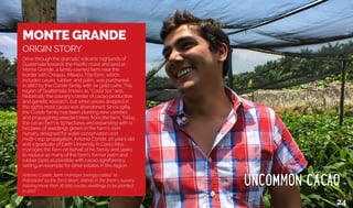 MONTE GRANDE
ORIGIN STORY
Drive through the dramatic volcanic highlands of
Guatemala towards the Pacific coast and land at
Monte Grande, a family-owned farm near the
border with Chiapas, Mexico. The farm, which
includes cacao, rubber, and palm, was purchased
in 1867 by the Conde family with six gold coins. This
region of Guatemala, known as “Costa Sur,” was
historically the country’s center of cacao production
and genetic research, but when prices dropped in
the 1970s most cacao was abandoned. Since 1984,
the Conde family has been planting new varieties
and propagating selected trees from the farm. Today,
the cacao farm is 19 hectares and expanding with 11
hectares of seedlings grown in the farm’s own
nursery designed for water conservation and
multi-crop propagation. Antonio Conde, 26 years old
and a graduate of Earth University in Costa Rica,
manages the farm on behalf of his family and seeks
to replace as many of the farm’s former palm and
rubber plots as possible with cacao agroforestry,
setting an example for other estates in the region.
Antonio Conde, farm manager lovingly called “el
Patroncito” by the farm team, stands in the farm’s nursery
holding more than 16,000 cacao seedlings to be planted
in 2017.
24
 