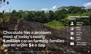 Chocolate has a problem:
most of today’s nearly
6 million cacao farming families
live on under $2 a day.
Photo: One of many slash and burn sites seen on the road to Lachuá.
Commodity Market
Reality
Lowest
Price
Shadowy
Brokers
Child
Labor
Slave
Labor
Widespread
Deforestation
4
 
