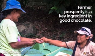 Farmer
prosperity is a
key ingredient in
good chocolate.
Mery Avircata, general manager of Alto Beni Cacao in
Bolivia, pays a farmer for her freshly harvested cacao. 6
 