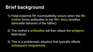 Brief background
1) Fetal-maternal Rh incompatibility occurs when the Rh-
mother forms antibodies to her Rh+ fetus (another
damnable behavior of the father)
2) The mother’s antibodies will then attack the antigenic
fetal blood.
3) This is a problematic situation that typically affects
subsequent pregnancies.
 
