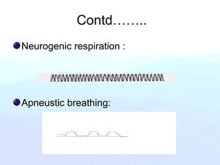 Contd……..
Neurogenic respiration :
Apneustic breathing:
 