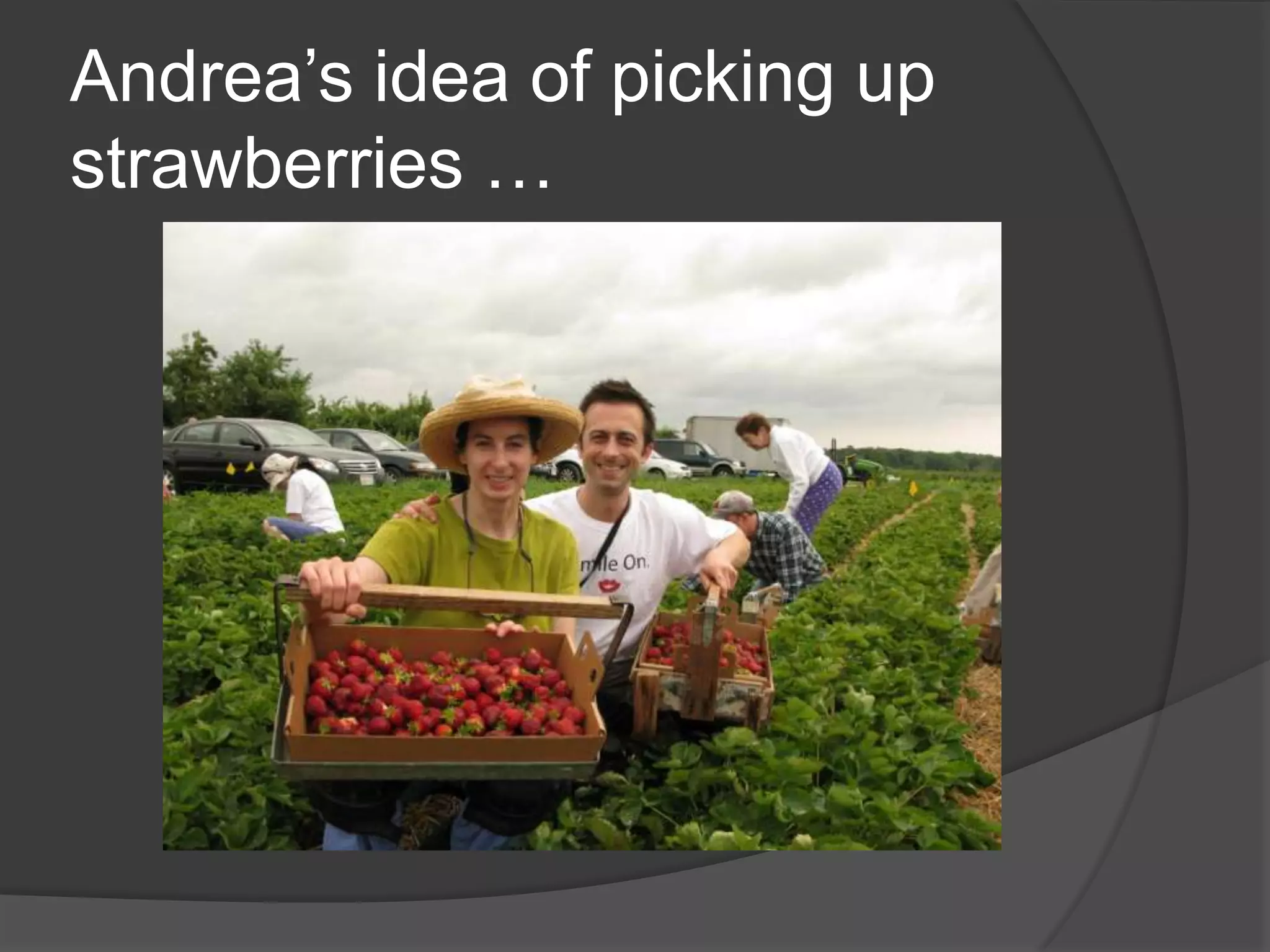 Andrea’s idea of picking up strawberries …