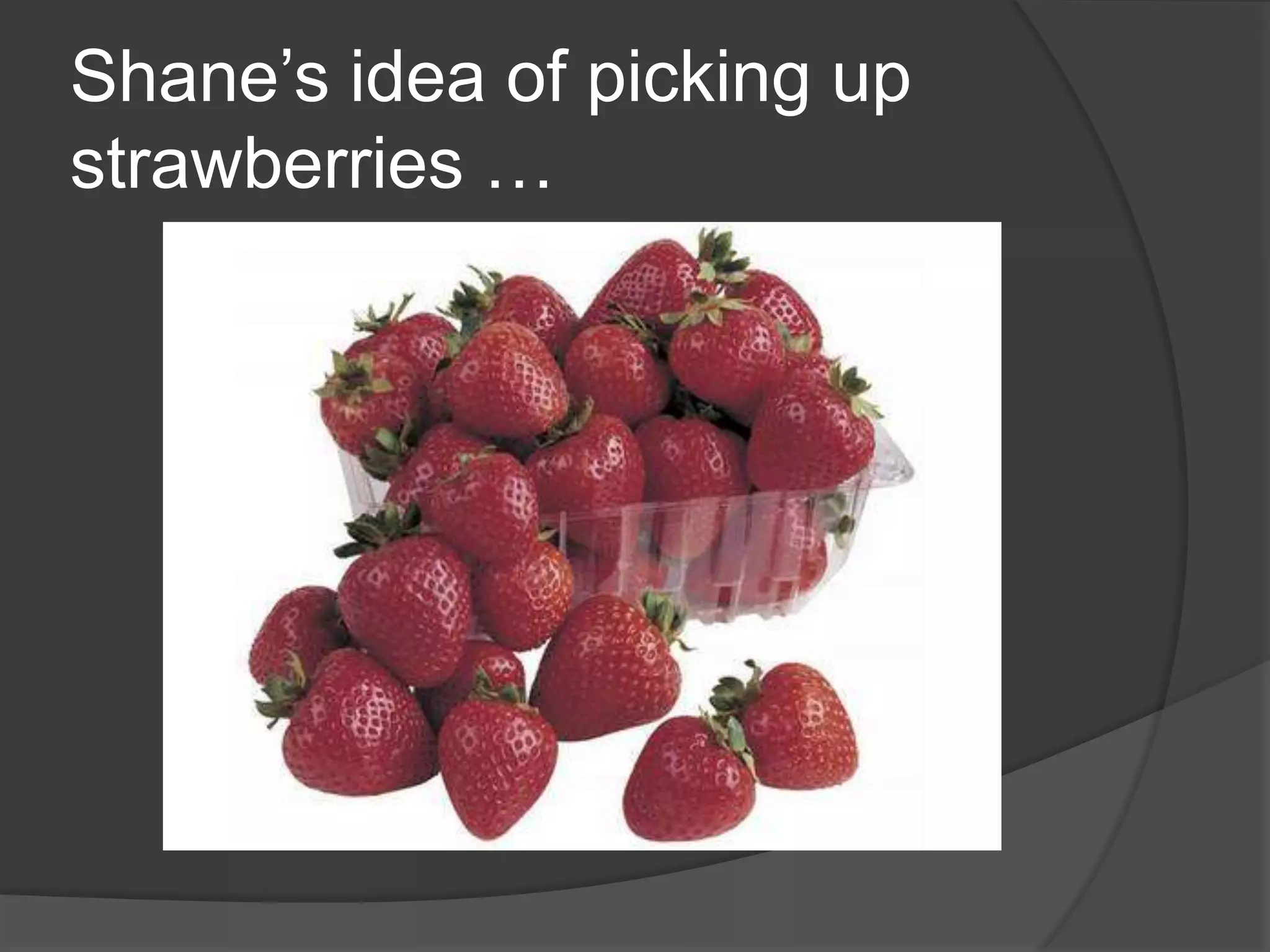 Shane’s idea of picking up strawberries …