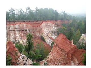 Providence Sand (Cretaceous)
highly weathered Clayton Formation(Paleocene)
 