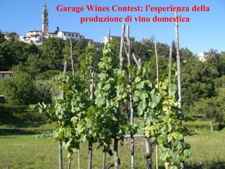 Garage Wines Contest: l'esperienza della  produzione di vino domestica 