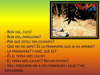 - BON DIA, CUCS!
- BON DIA, PAPALLONA!
- PER QUÈ ESTEU TAN ESVERATS?
- QUE NO HO SAPS? ÉS LA PRIMAVERA QUE JA HA ARRIBAT!
- LA PRIMAVERA? I AIXÒ, QUÈ ÉS?
- ÉS EL TERRA MÉS CALENT.
- EL TERRA MÉS CALENT? NO HO ENTENC!
- VES I PREGUNTA-HO A LES FORMIGUES I ELLES T’HO
EXPLICARAN.
 