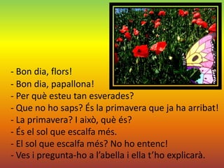 - Bon dia, flors!
- Bon dia, papallona!
- Per què esteu tan esverades?
- Que no ho saps? És la primavera que ja ha arribat!
- La primavera? I això, què és?
- És el sol que escalfa més.
- El sol que escalfa més? No ho entenc!
- Ves i pregunta-ho a l’abella i ella t’ho explicarà.
 