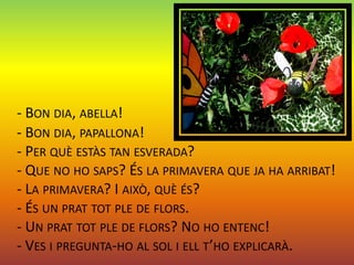 - BON DIA, ABELLA!
- BON DIA, PAPALLONA!
- PER QUÈ ESTÀS TAN ESVERADA?
- QUE NO HO SAPS? ÉS LA PRIMAVERA QUE JA HA ARRIBAT!
- LA PRIMAVERA? I AIXÒ, QUÈ ÉS?
- ÉS UN PRAT TOT PLE DE FLORS.
- UN PRAT TOT PLE DE FLORS? NO HO ENTENC!
- VES I PREGUNTA-HO AL SOL I ELL T’HO EXPLICARÀ.
 