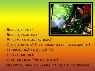 - BON DIA, OCELLS!
- BON DIA, PAPALLONA!
- PER QUÈ ESTEU TAN ESVERATS?
- QUE NO HO SAPS? ÉS LA PRIMAVERA QUE JA HA ARRIBAT!
- LA PRIMAVERA? I AIXÒ, QUÈ ÉS?
- ÉS EL CEL MÉS BLAU.
- EL CEL MÉS BLAU? NO HO ENTENC!
- VÉS I PREGUNTA-HO A LA MARIETA I ELLA T’HO EXPLICARÀ.
 