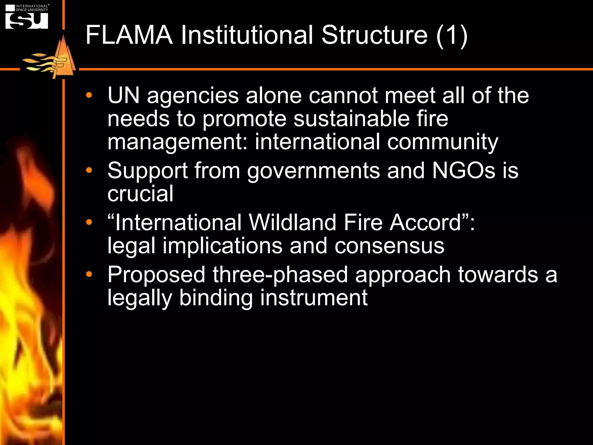 FLAMA Institutional Structure (1) UN agencies alone cannot meet all of the needs to promote sustainable fire management: international community Support from governments and NGOs is crucial “ International Wildland Fire Accord”: legal implications and consensus Proposed three-phased approach towards a legally binding instrument 