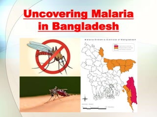 Uncovering Malaria
in Bangladesh
 