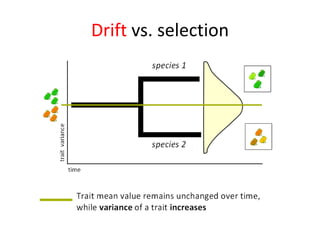 Drift vs. selection