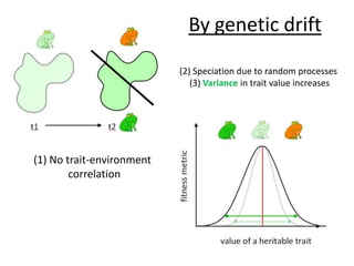 By genetic drift(2) Speciation due to random processes (3) Variance in trait value increases(1) No trait-environment correlation