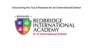 Uncovering the Top 5 Reasons for an International School
 